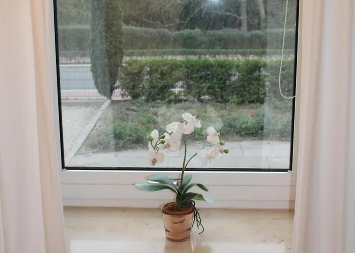 Appartement Hanseat Ii App112 Ostseeglanz